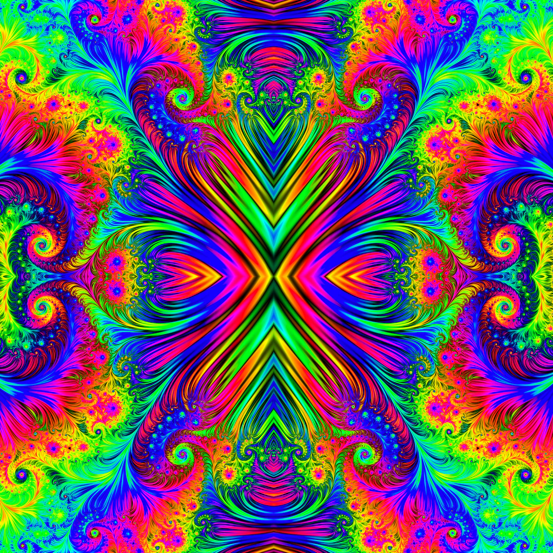 Fractal Wonderland
